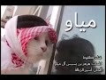 جديد شيخ ميو اجمل موال 2021 جديد شيخ ميو اجمل موال 2021