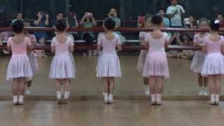 CSTD Exam Open House 2013 - Primary Syllabus (part 1)
