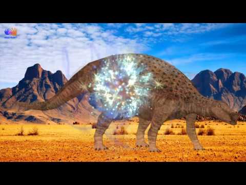 Dinosaur Name and Sounds  Dinosaurs Cartoon Amazing Leanr for Kids   Dinosaurs Videos For Kids