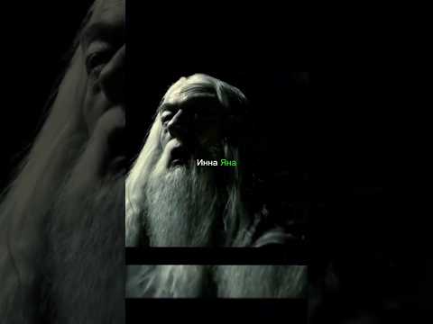 Дамблдор напился 😂 Harry potter Гарри поттер #фильмы #кино #гаррипоттер #harrypotter #shorts