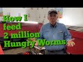 Here's how I feed 2 million hungry worms with homemade worm chow and sprouted greens!