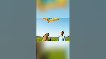 Capybara thả diều cùng lũ trẻ trên cánh đồng lúa Việt Nam 🌾🪁 | Capybara và Ông Lão #shorts