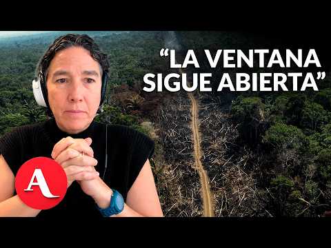 Poblaciones de vida silvestre monitoreadas caen 73% a nivel global; en AL descenso es de 95%: WWF