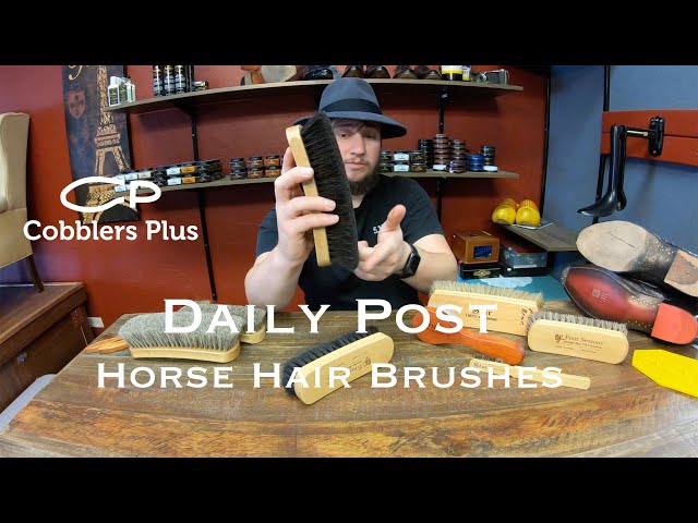 Daily Post- Horse Hair Brushes to buff 