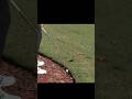 How ARE YOU playing this… class from Ludvig #golf #ludvigAberg #golffun