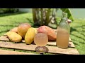 MANGO WINE how to make at home - Healthy Homemade Wine without  Yeast - Easy recipe for beginners