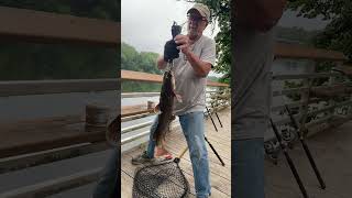 The little FLATHEAD that made my day!