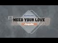 OneRepublic - Need Your Love (Acapella)