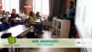 Concours des Chercheurs en Herbe - CM1-CM2