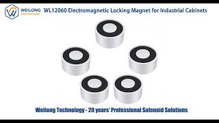 WL12060 Electromagnetic Locking Magnet Industrial