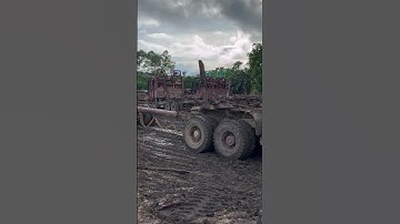 ‼️Lagi tarik tarik ekor