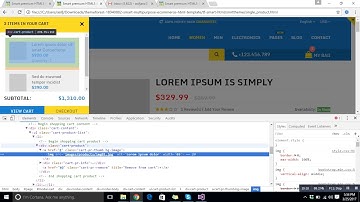 How to integrate the theme in asp net mvc