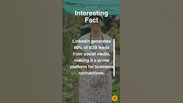 Unleashing B2B Potential: How LinkedIn Empowers Small Businesses