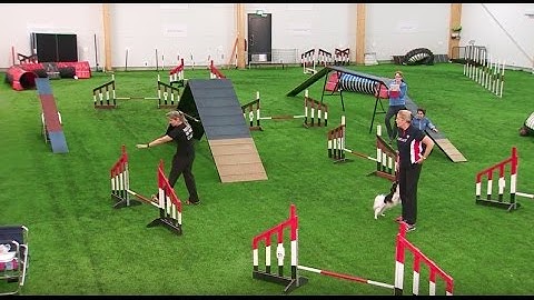 OneMind Dogs International  Agility Training Week - Forced Front Cross