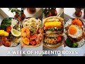 A week of husband lunch boxes 47custard cream apple pie square
