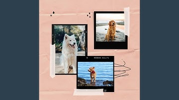Pulsating Backdrops for Cool Pups