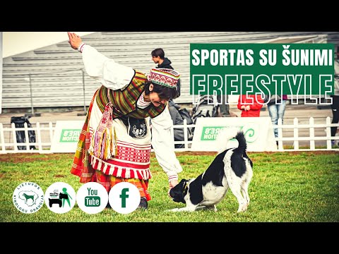 Video: Paw-mazing Augintiniai: Stebėkite šiuos Jaudinančius šunis, Užsiimančius Ekstremaliu Sportu &#91;VIDEO&#93;