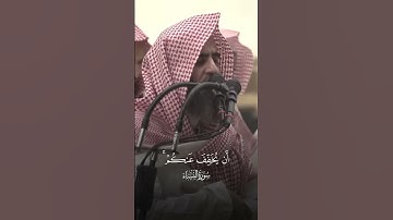 تلاوة هادئة من سورة النساء❤️#قرآن#تلاوات#محمد_اللحيدان#تلاوة#النبرة_اللحيدانية#التوبة#تلاوة_خاشعة
