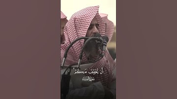 تلاوة هادئة من سورة النساء❤️#قرآن#تلاوات#محمد_اللحيدان#تلاوة#النبرة_اللحيدانية#التوبة#تلاوة_خاشعة