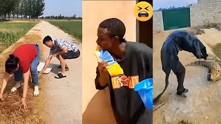 TRY NOT TO LAUGH 😆 Best Funny Videos Compilation 😂😁😆 Memes PART