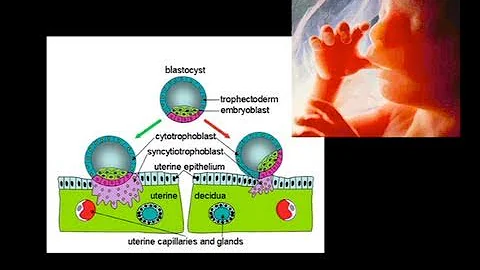 Your Genes: More Virus than Human - DayDayNews