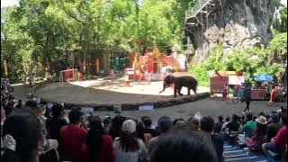 GX011100 DAY 5 SAFARI WORLD 2025 Oct 22 DAY 6 SEA WORLD MADAM TUSSUAD 2025 Oct 23