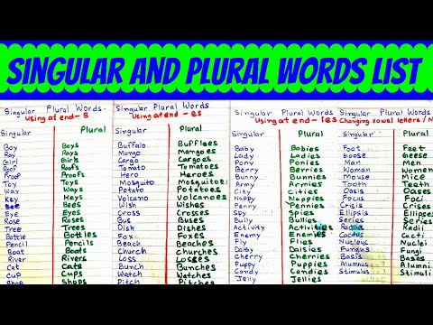 Plural Words। Singular and Plural। Singular Plural Words। Singular Plural in English Grammar