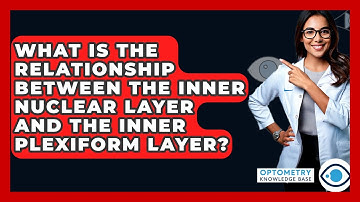 What Is The Relationship Between The Inner Nuclear Layer And The Inner Plexiform Layer?
