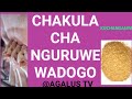 KUCHANGANYA CHAKULA CHA VITOTO VYA NGURUWE KUCHANGANYA CHAKULA CHA VITOTO VYA NGURUWE