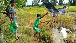 The Best Primitive Birds Trap (Leg Trap) | How To Build A Quick Birds Trap