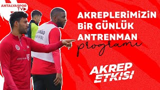 Akrep Etki̇si̇ Akreplerimizin Bir Günlük Antrenman Programı. İyi Seyirler