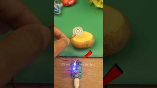 Ultrasonic Humidifier vs Potato Experiment #humidifier #experiment #shortvideo