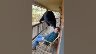 Download lagu Wait for it 😂