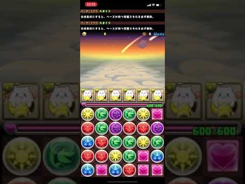 パズドラ検定　操作編　Lv.7