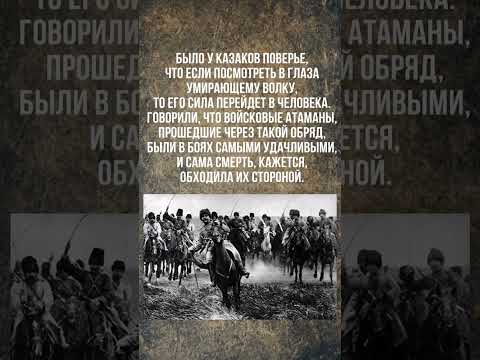 Video: Transbaikalian Kozakken: geschiedenis, tradities, gebruiken, leven en manier van leven