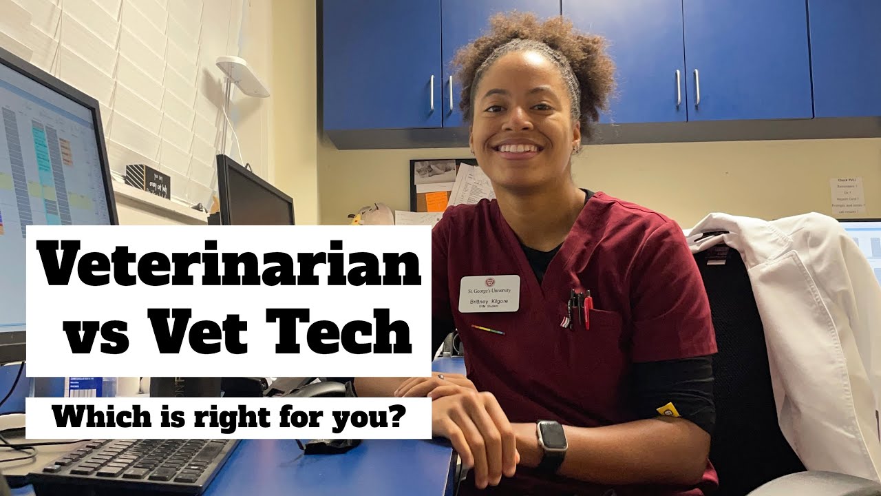 The Difference Between Veterinarians And Vet Techs