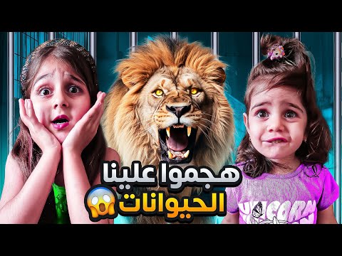 رحنا على حديقة الحيوانات وهجموا علينا ذهب وألماس خافوا كتير