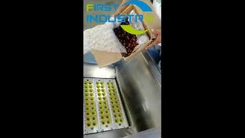 Pakistan Dates pitting, seeds removing machine