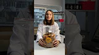 Как перестать бухать