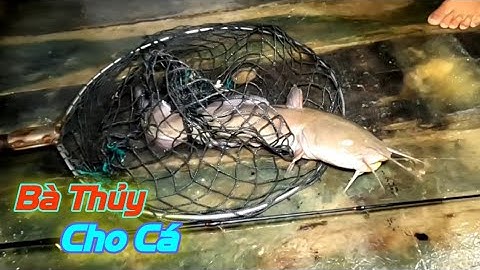 Thả Câu Điểm Mới Dính Toàn Cá Trời Ơi | Gia Đình Cần Giờ .192 |