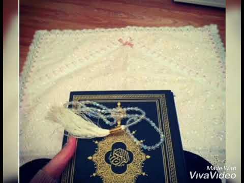 هذا القرآن بأيدينا