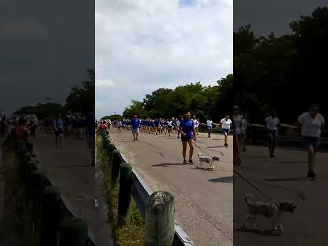 Douches fest, pflugerville high school. 2018