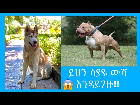 ቪዲዮ: ማማከር - ምንድነው? የአስተዳደር እና የፋይናንስ ማማከር ምንድን ነው?