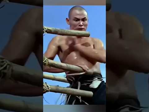 رجل يتعلم القتال لدفع عن القريه Shorts