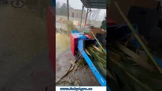 Chaff Cutter Machine | باریک اور سائلیج جیسا کترا کرنے والی مشین | #chaffcutter #silage #farming