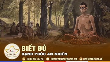 Biết Đủ Để Được Hạnh Phúc – Bài Học Từ Lời Phật Dạy | Bchannel