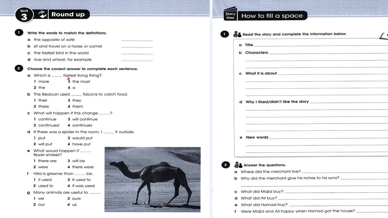 حل صفحة 56 و 57 نشاط انكليزي ثالث متوسط 2024