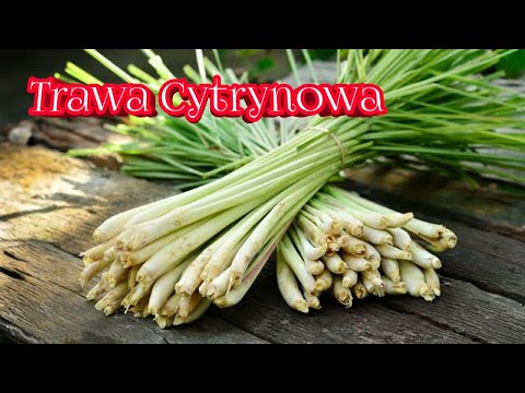 Wideo: Trawa Cytrynowa: Co To Jest I Z Czym Jest Zjadana