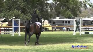 140S Jill Jaeger On Raffaella Sr Novice Show Jumping Galway Downd May 2015