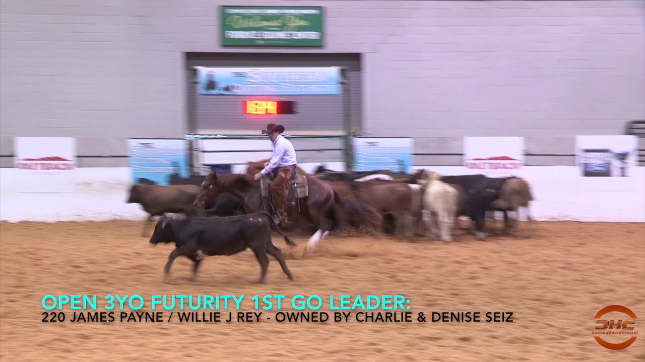 JAMES PAYNE LEADS OPEN 3YO FUTURITY 1ST GO AT SOUTHERN CUTTING FUTURITY